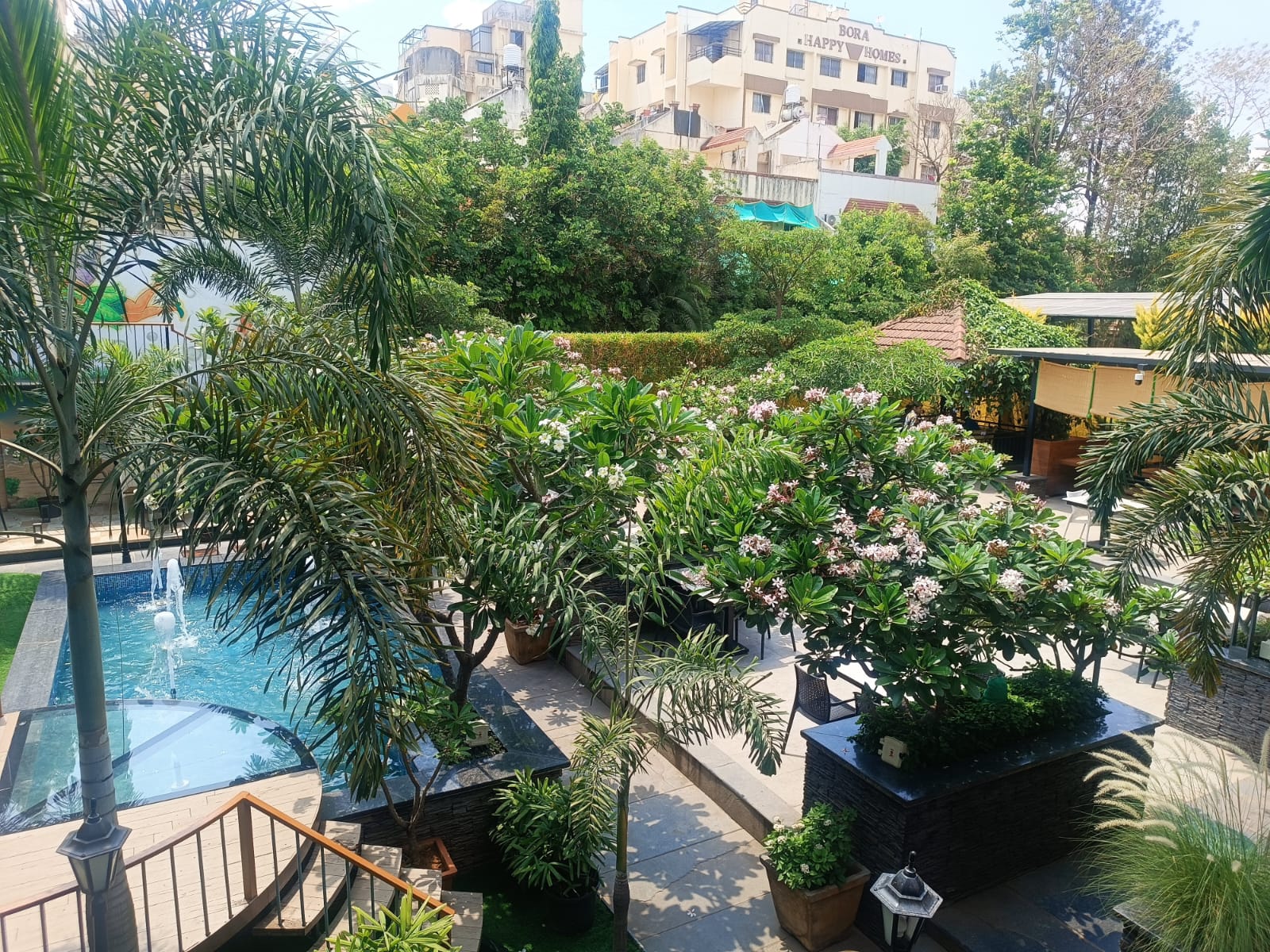 Poolside garden with frangipani