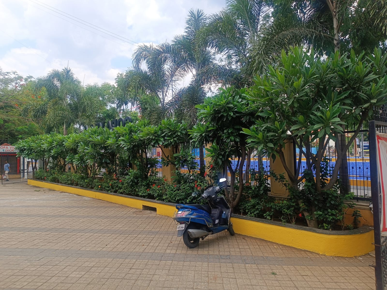 Compound greenery and parking landscaping