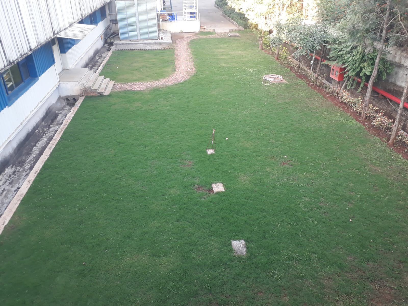 Factory lawn maintained by Greenthoughts