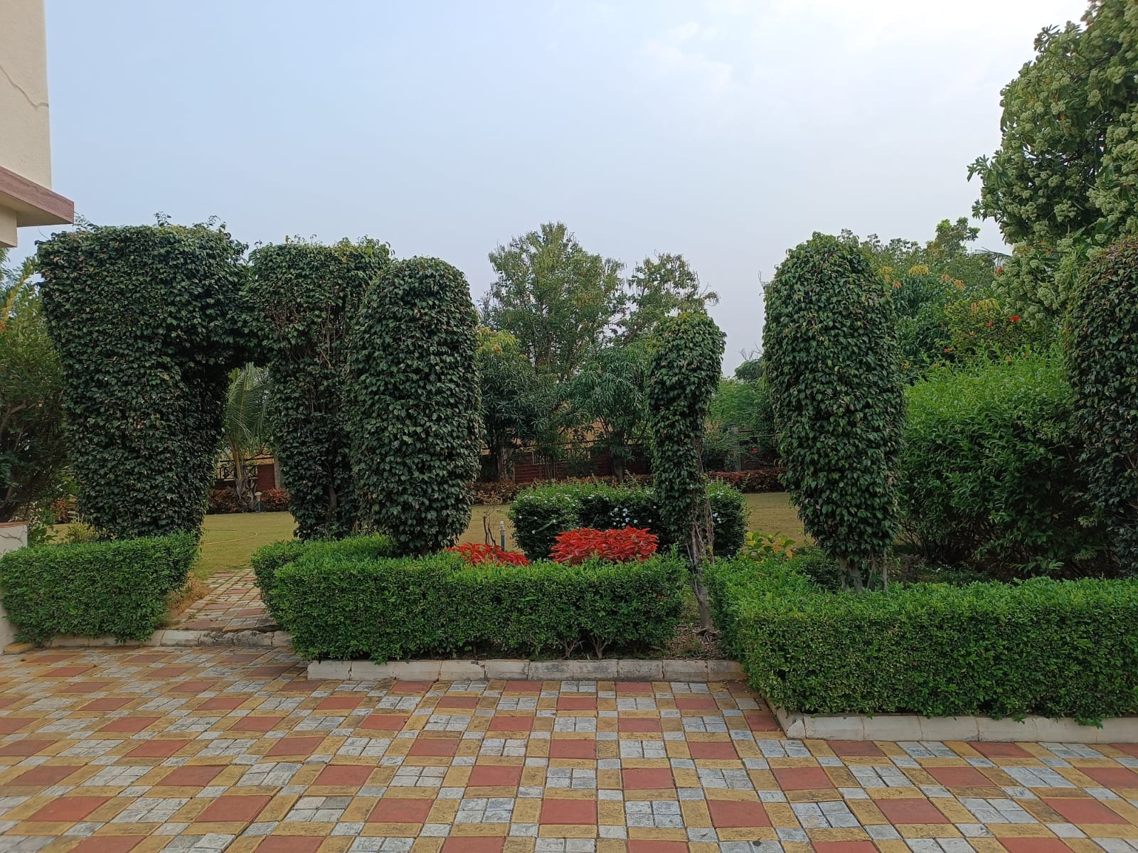 Topiary garden at a corporate campus