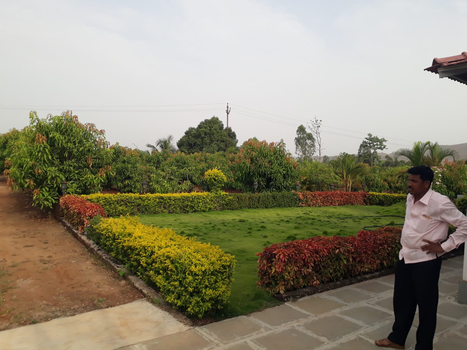 Farmhouse garden with layered hedges